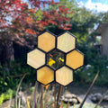 Honeycomb Flower