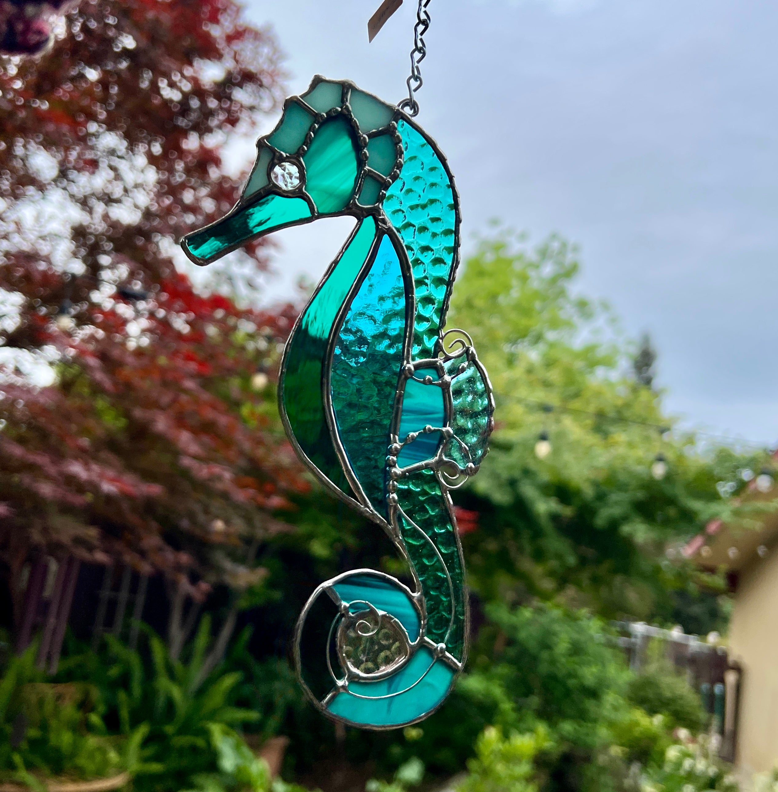 Seahorse