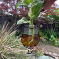 Propagation Beer Tulip