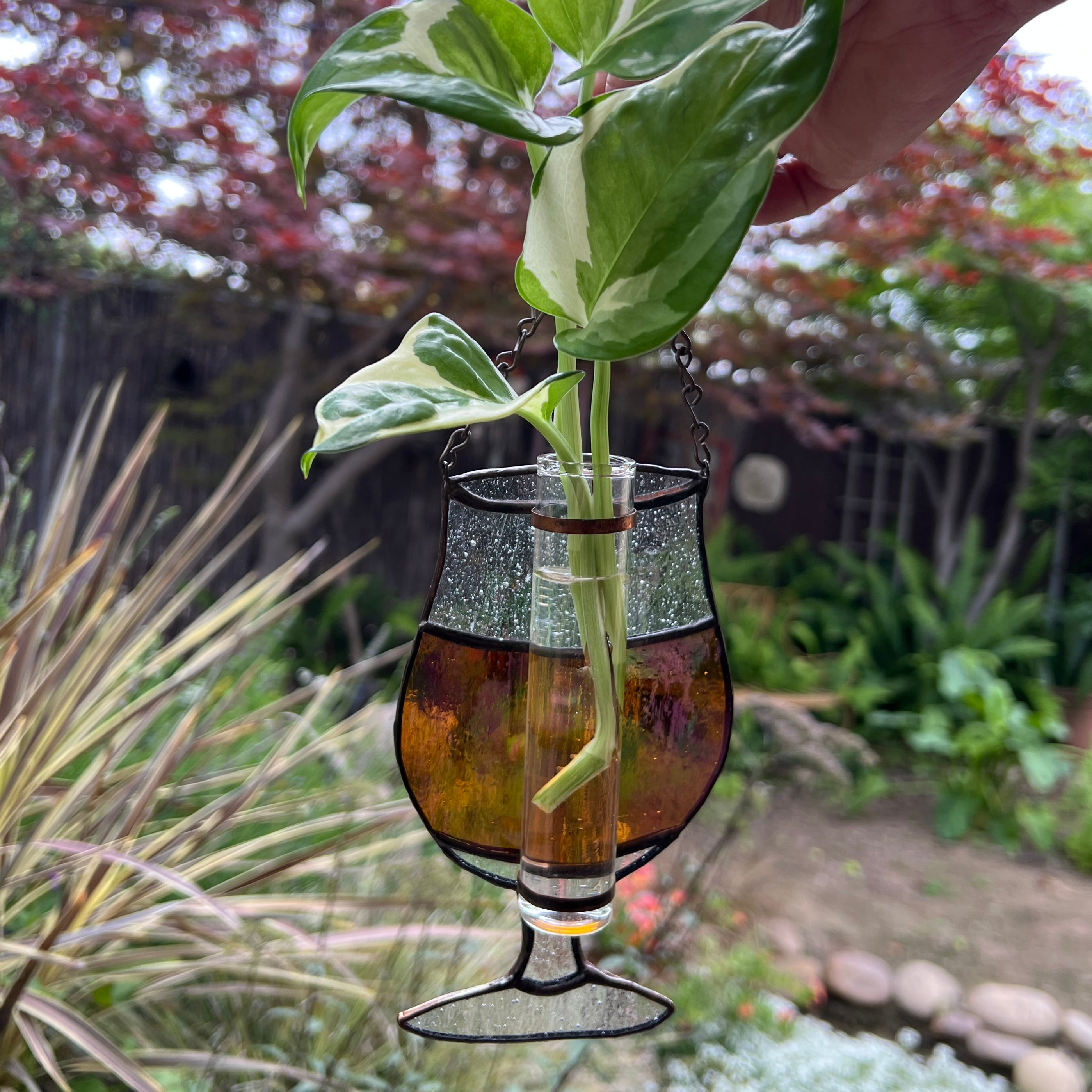 Propagation Beer Tulip
