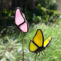 Dimensional Butterfly