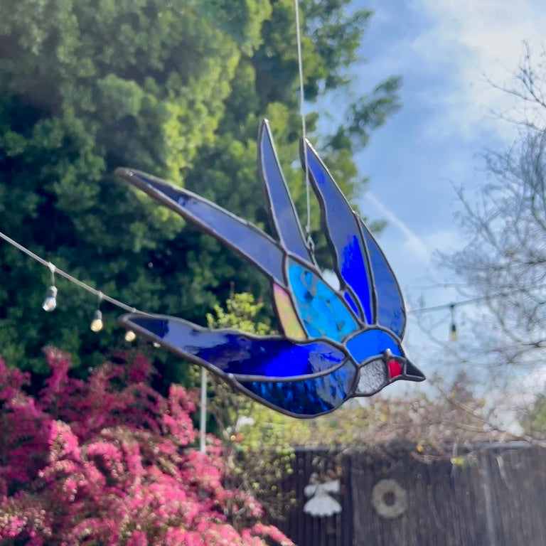 Swallow
