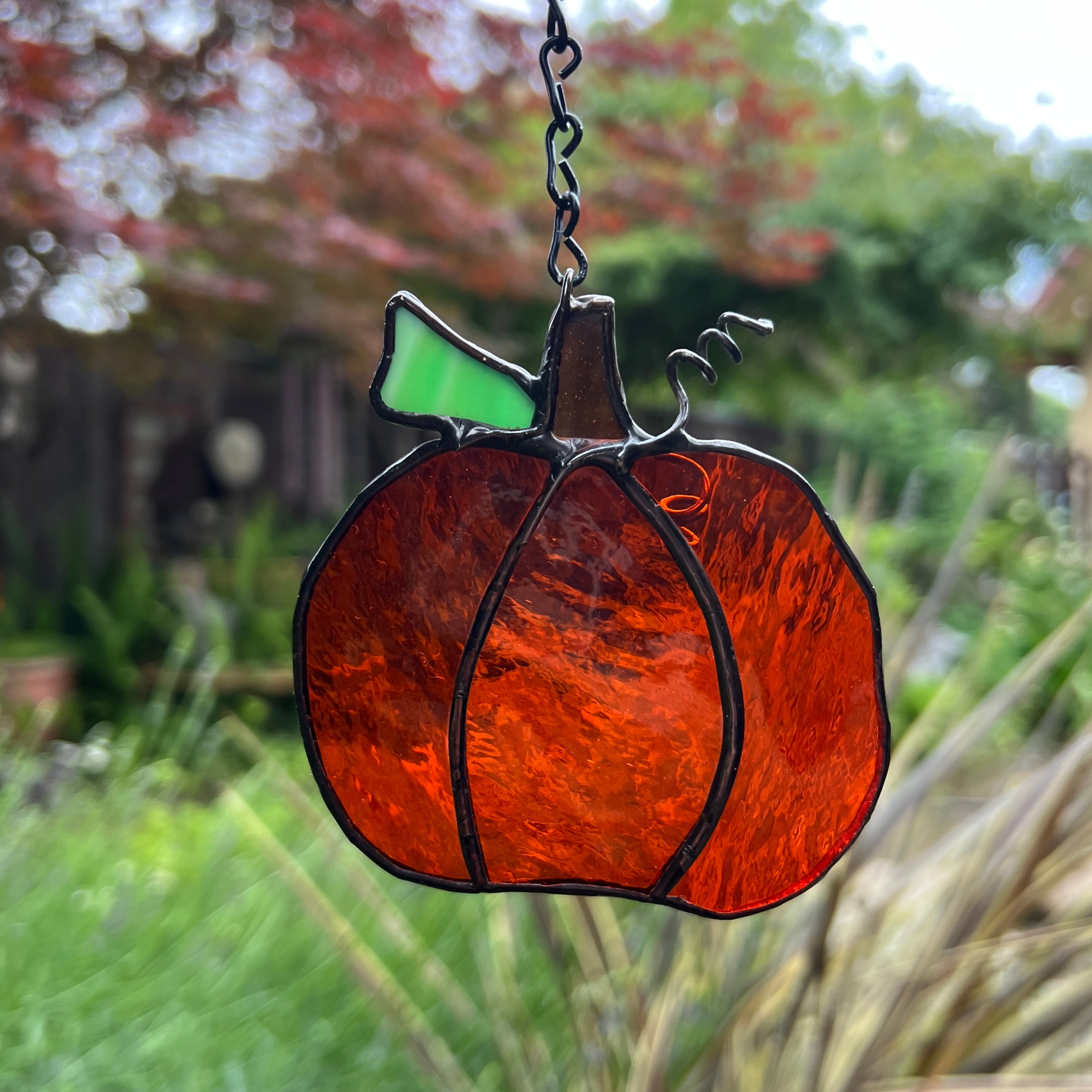 Pumpkin Medium