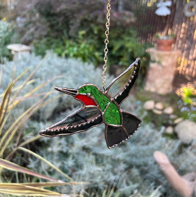 On Hummingbird’s Wings