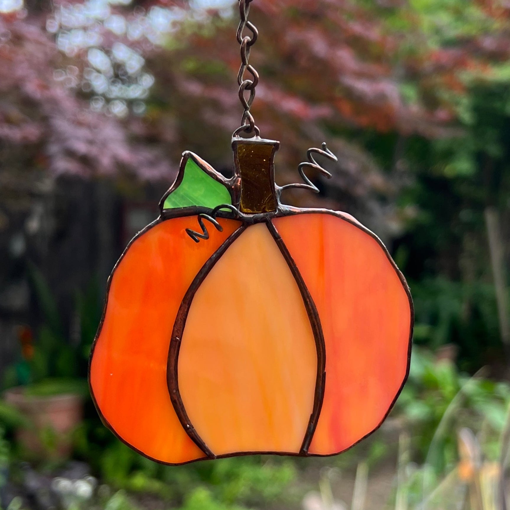 Pumpkin Medium