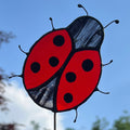 Insect Plant Pick