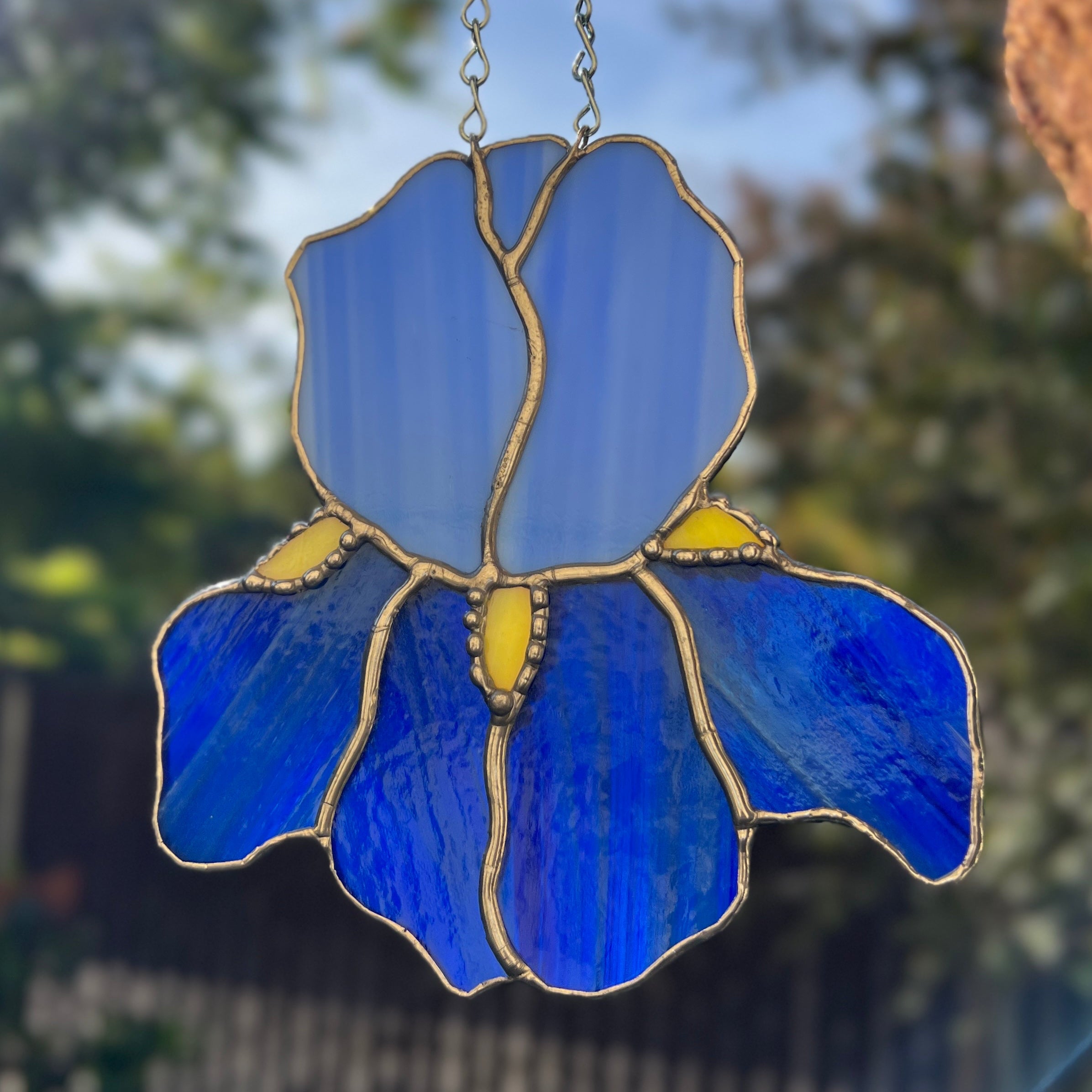 Iris
