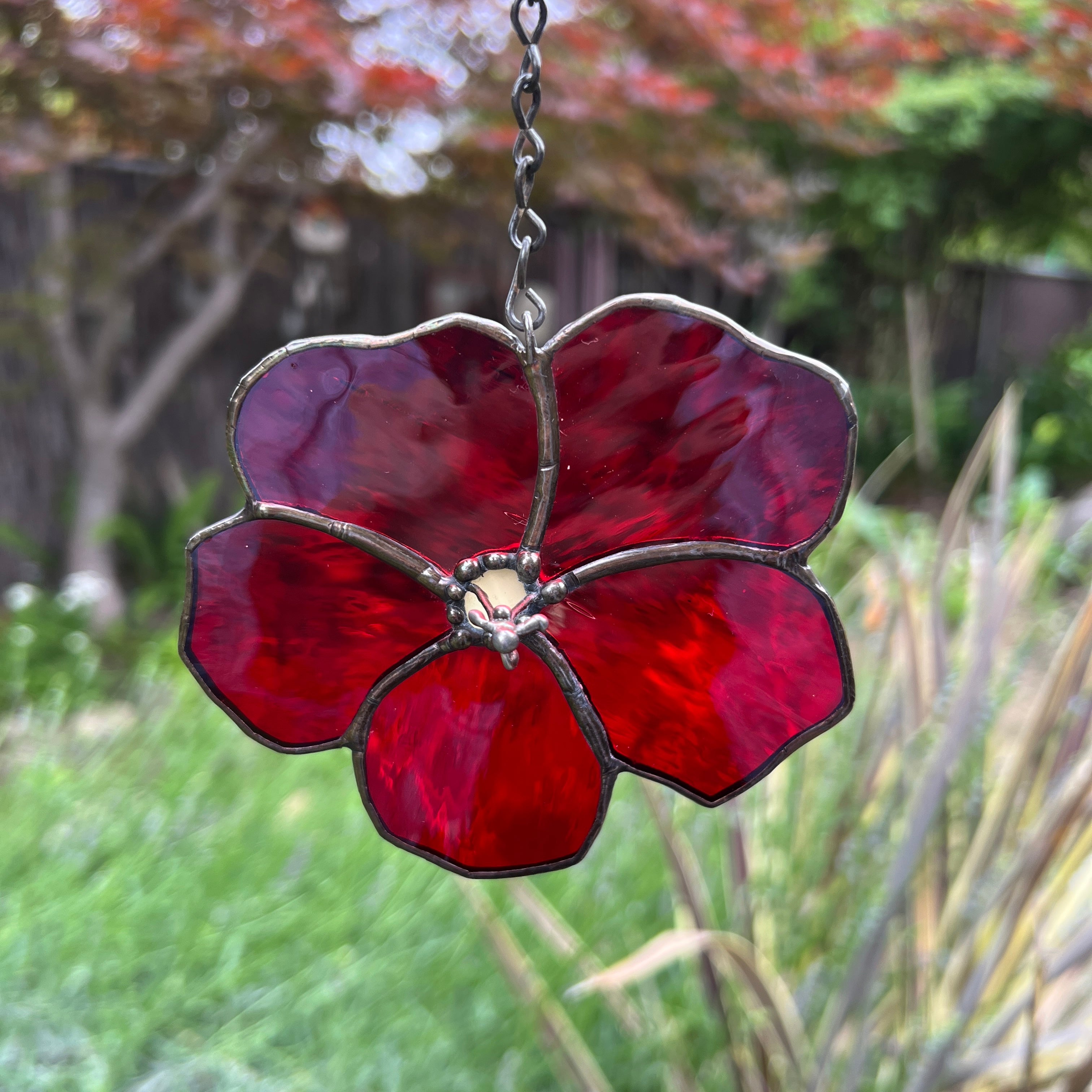 Hibiscus