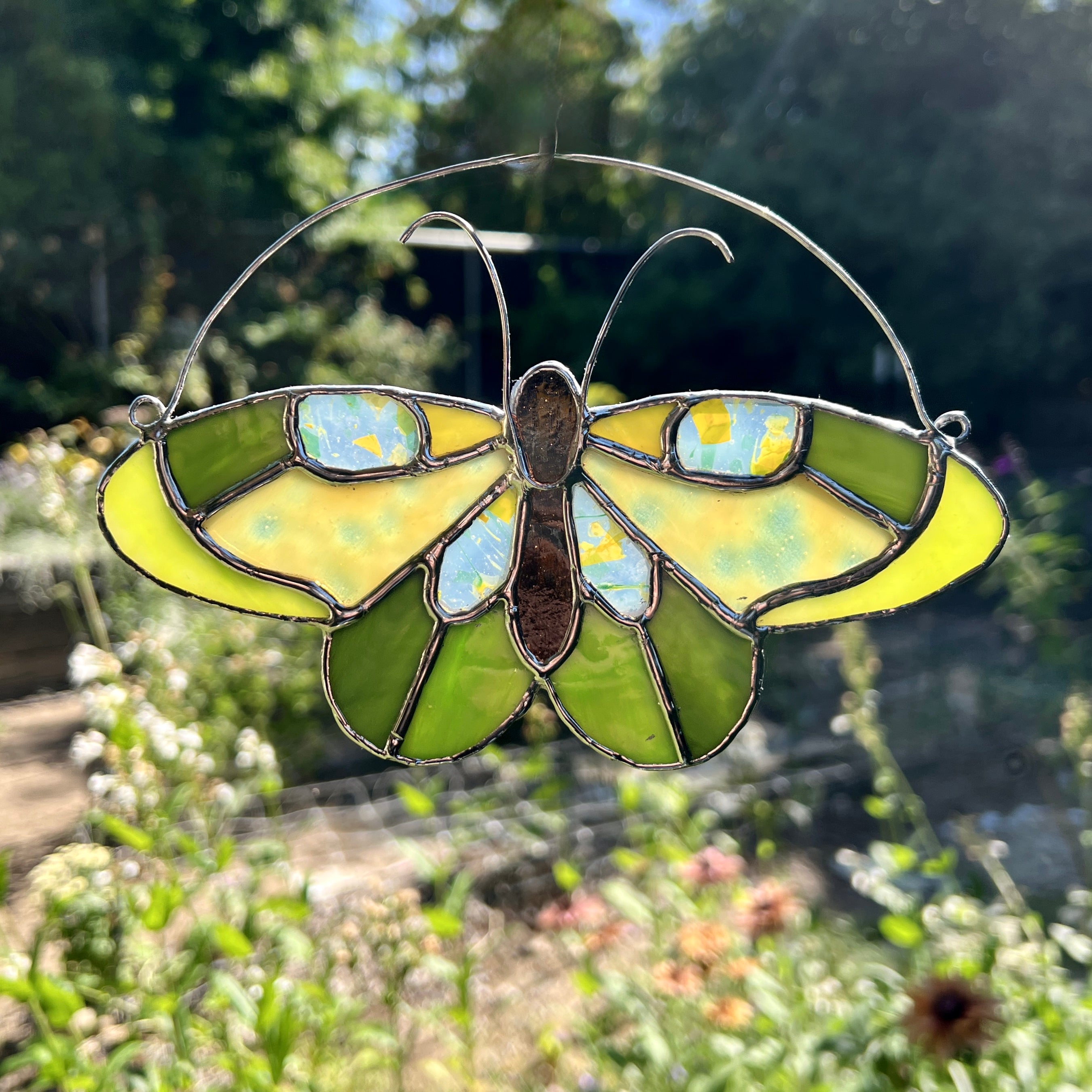 Verdant Butterfly