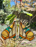 Moth Propagator