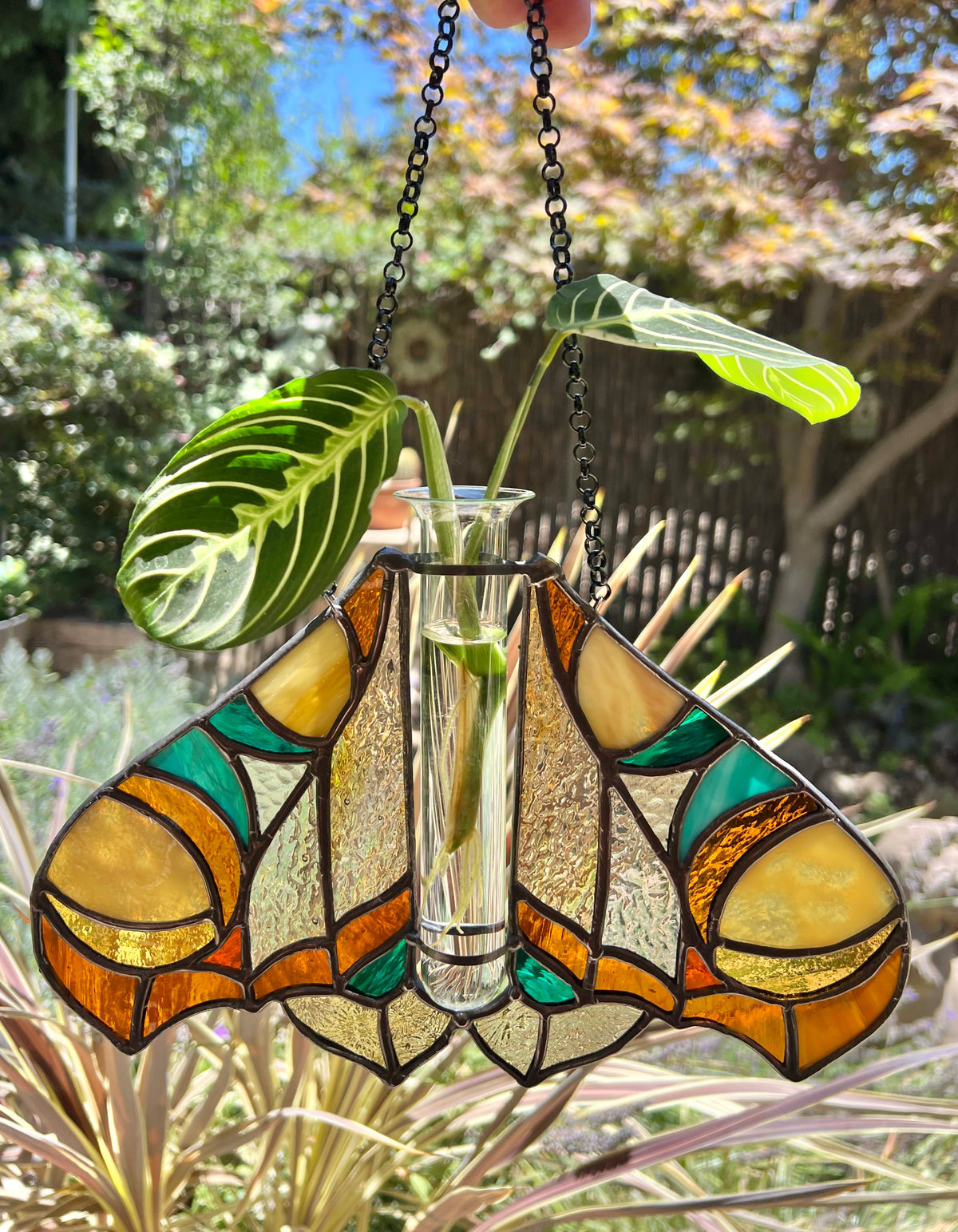 Moth Propagator
