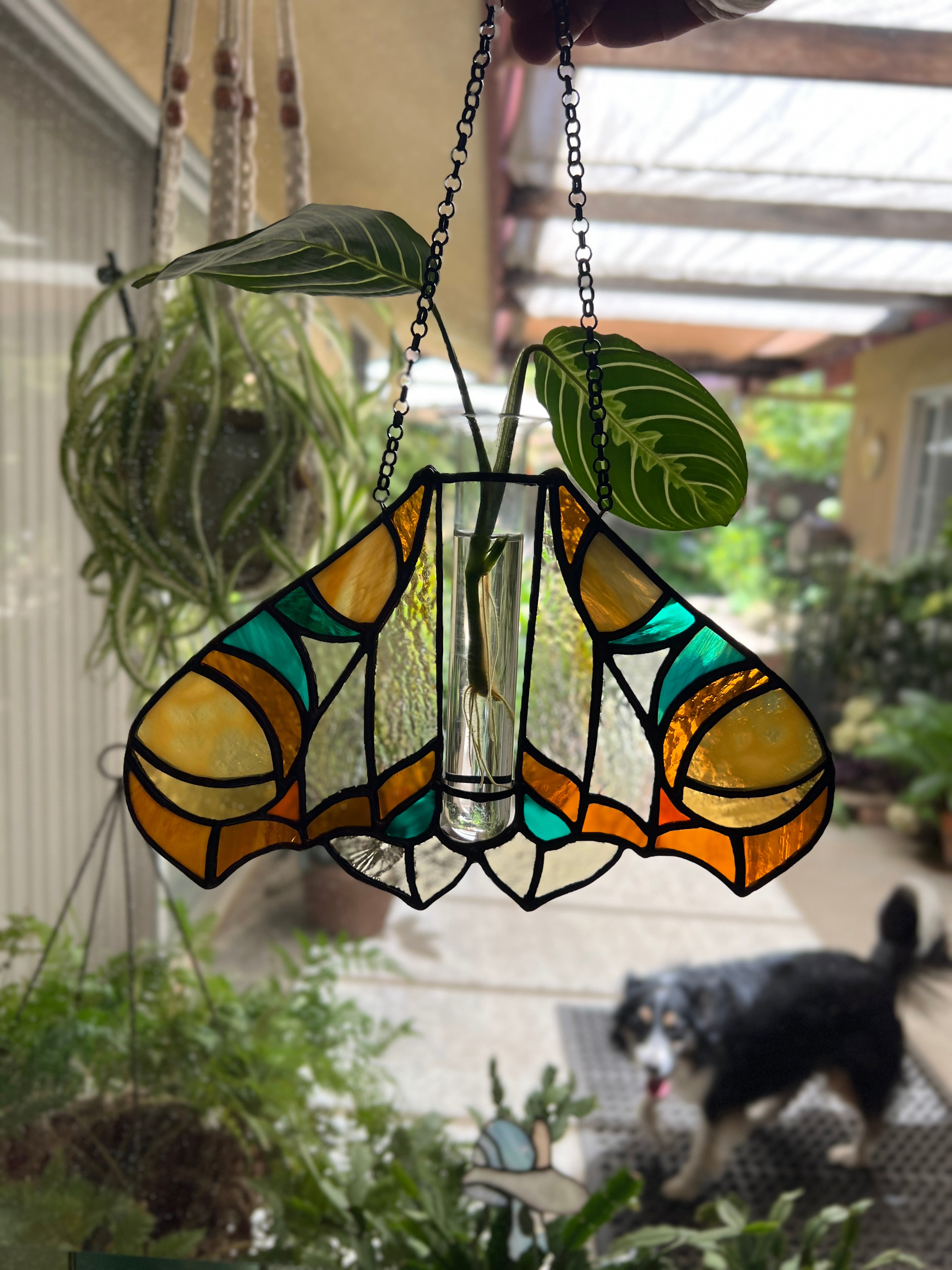 Moth Propagator
