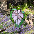 rex begonia leaf